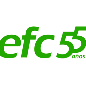 ELECTRO FERRO CENTRO S.A.C. | EFC SAC