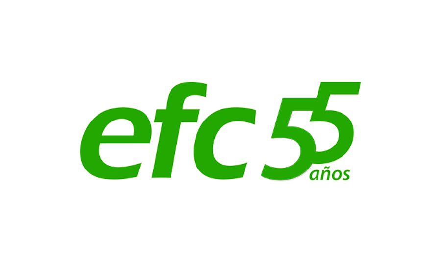 ELECTRO FERRO CENTRO S.A.C. | EFC SAC