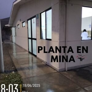 RAMA TEXTIL S.A.C. - Imagen 2