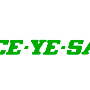 CEYESA INGENIERIA ELECTRICA S.A.